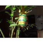 Zdjęcia użytkowników LG G Pad 8.0 V490