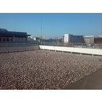 Zdjęcia użytkowników LG G Pad 8.0 V490