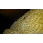 Zdjęcia użytkowników LG G Pro Lite