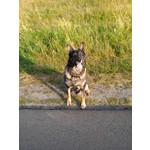 Zdjęcia użytkowników LG G Pro Lite