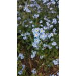 Zdjęcia użytkowników LG G2