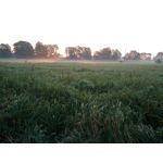 Zdjęcia użytkowników LG G2