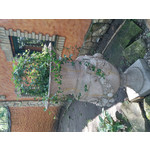 Zdjęcia użytkowników LG G3