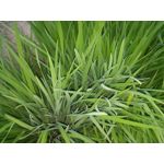 Zdjęcia użytkowników LG G3