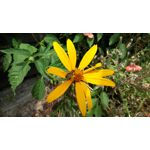 Zdjęcia użytkowników LG G3