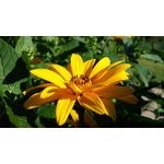 Zdjęcia użytkowników LG G3