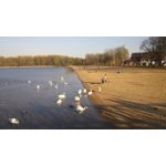 Zdjęcia użytkowników LG G3