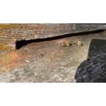 Zdjęcia użytkowników LG G4 Dual