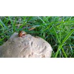 Zdjęcia użytkowników LG G5 H840 Zdjęcia użytkowników LG G5 H840