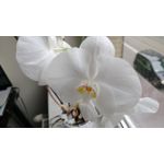 Zdjęcia użytkowników LG G5 H840 Zdjęcia użytkowników LG G5 H840