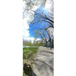Zdjęcia użytkowników LG G6