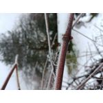 Zdjęcia użytkowników LG G6