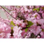 Zdjęcia użytkowników LG G7 ThinQ Zdjęcia użytkowników LG G7 ThinQ