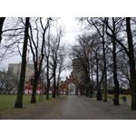 Zdjęcia użytkowników LG G8X ThinQ Dual SIM