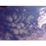 Zdjęcia użytkowników LG GD510