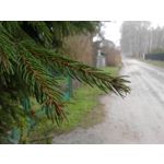 Zdjęcia użytkowników LG GM360 Snap