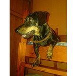 Zdjęcia użytkowników LG GM360 Snap