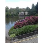 Zdjęcia użytkowników LG GM360 Snap