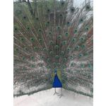 Zdjęcia użytkowników LG GM360 Snap