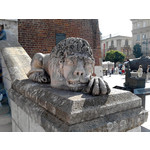 Zdjęcia użytkowników LG GM360 Snap