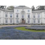 Zdjęcia użytkowników LG GM360 Snap