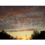 Zdjęcia użytkowników LG GT540