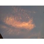 Zdjęcia użytkowników LG GT540