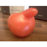 Zdjęcia użytkowników LG GT540