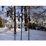 Zdjęcia użytkowników LG GT540