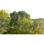 Zdjęcia użytkowników LG K10 2017 M250e Zdjęcia użytkowników LG K10 2017 M250e