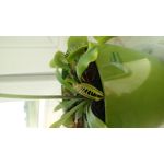 ZDJĘCIA Z TEGO TELEFONU