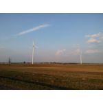 Zdjęcia użytkowników LG K10 LTE K420N