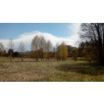 ZDJĘCIA Z TEGO TELEFONU