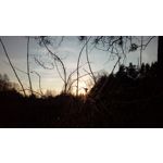 Zdjęcia użytkowników LG K8 Dual Zdjęcia użytkowników LG K8 Dual