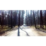 Zdjęcia użytkowników LG K8 Dual Zdjęcia użytkowników LG K8 Dual