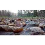 Zdjęcia użytkowników LG K8 Dual Zdjęcia użytkowników LG K8 Dual