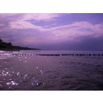 ZDJĘCIA Z TEGO TELEFONU