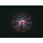 Zdjęcia użytkowników LG KG800