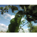 ZDJĘCIA Z TEGO TELEFONU