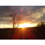 Zdjęcia użytkowników LG KU990i