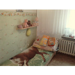 Zdjęcia użytkowników LG KU990i