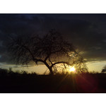 Zdjęcia użytkowników LG KU990i