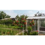 Zdjęcia użytkowników LG L Bello