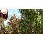 Zdjęcia użytkowników LG L70