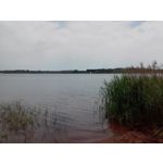Zdjęcia użytkowników LG L70