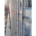 Zdjęcia użytkowników LG L90