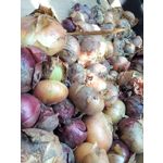 Zdjęcia użytkowników LG Magna Zdjęcia użytkowników LG Magna