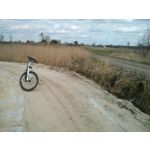 Zdjęcia użytkowników LG Nexus 4