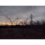 Zdjęcia użytkowników LG Nexus 5X