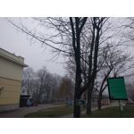 Zdjęcia użytkowników LG Nexus 5X